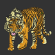 IMG_058.PNG